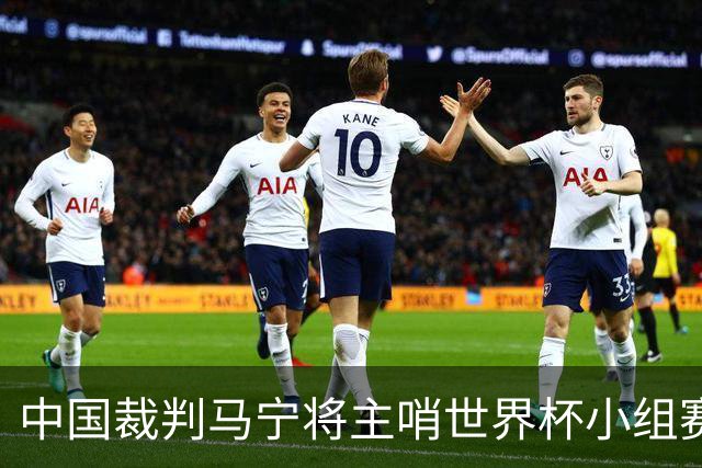 中国裁判马宁将主哨世界杯小组赛第二轮比赛